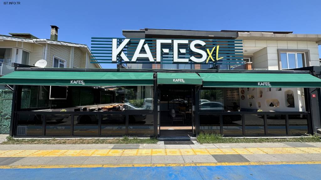 Kafes XL Fotoğrafları