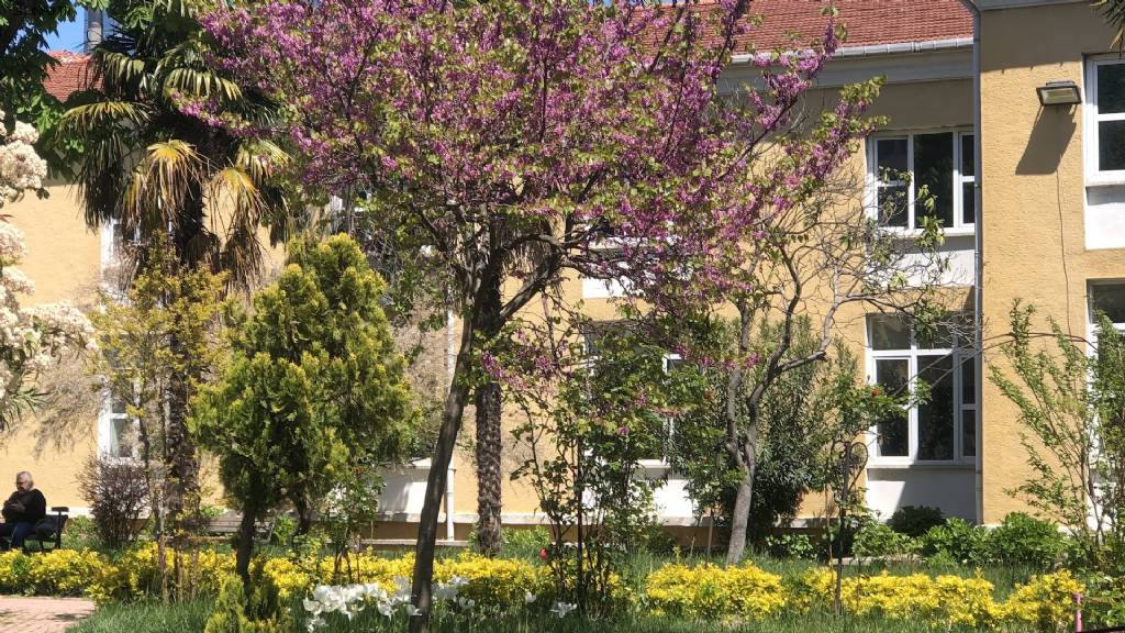 Beyoğlu Göz Eğitim Ve Araştırma Hastanesi Gümüşsuyu Ek hizmet Binası Fotoğrafları