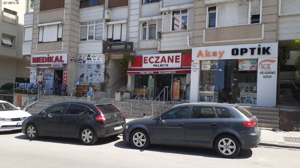 Eczane Palmiye Fotoğrafları