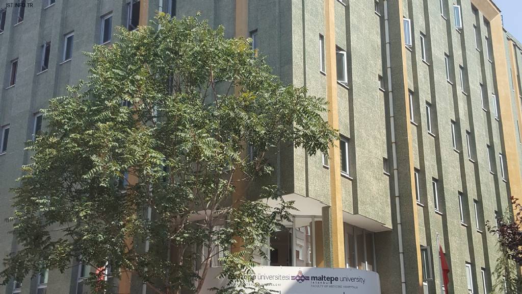 Maltepe Üniversitesi Hastanesi Kadın Doğum Ve Tüp Bebek Kliniği Fotoğrafları