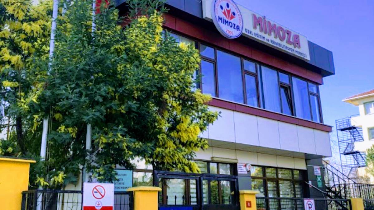 Özel Mimoza Özel Eğitim ve Rehabilitasyon Merkezi