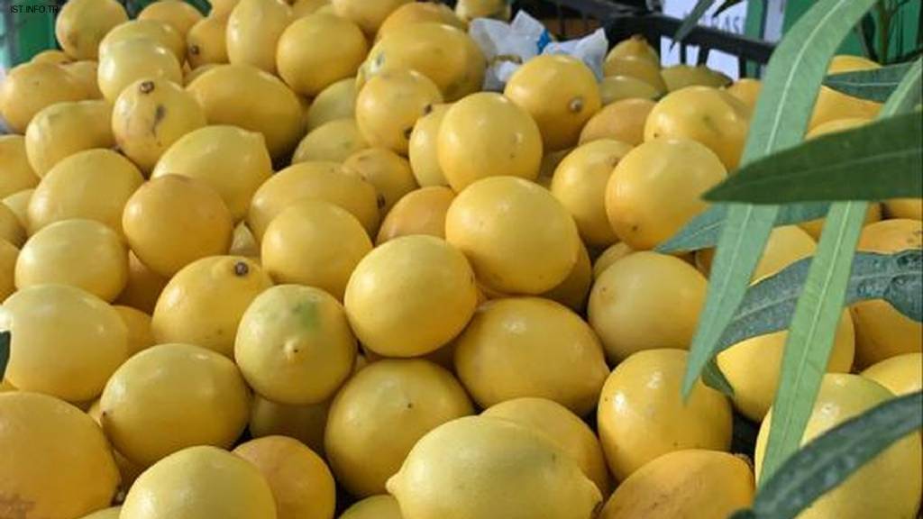 Biçen Market Beylicium Avm İçi Şube Fotoğrafları