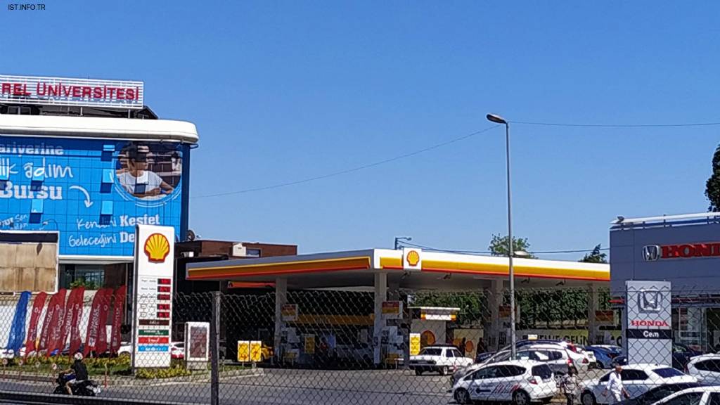 Shell Fotoğrafları