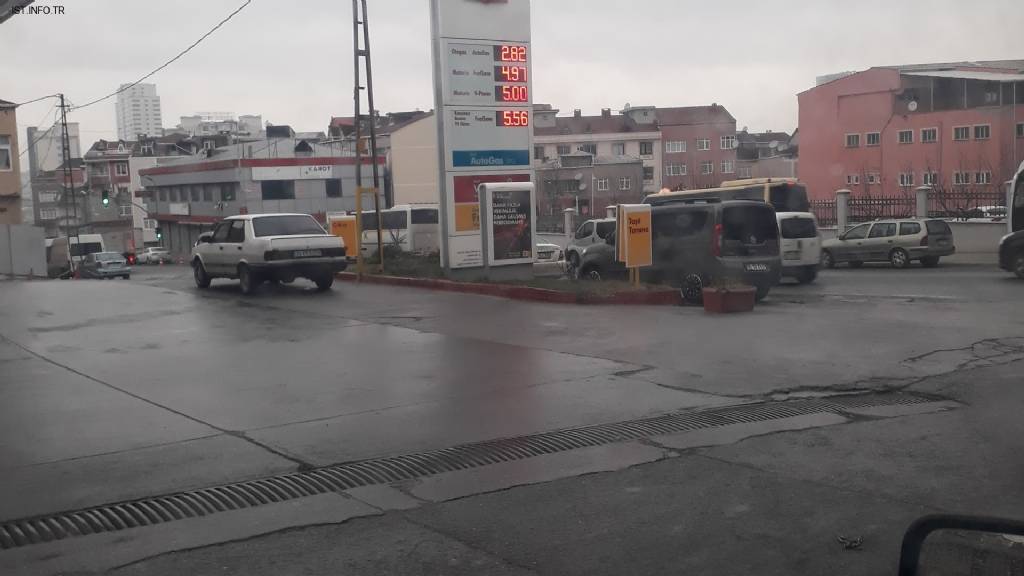 Shell Fotoğrafları