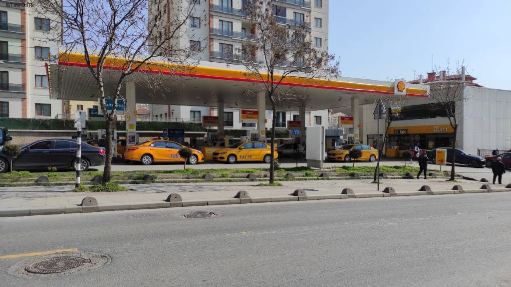 Shell Fotoğrafları