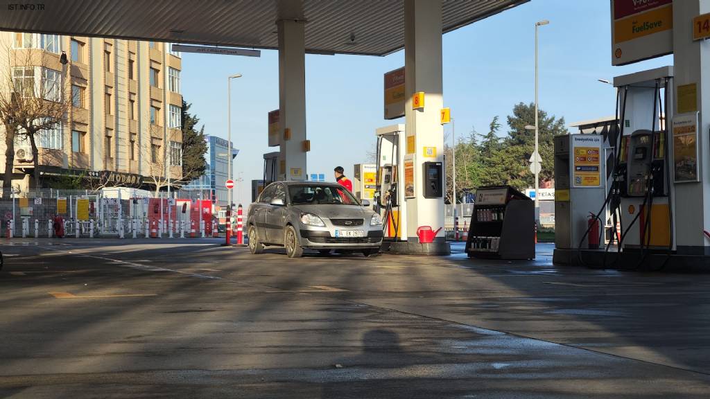 Shell Fotoğrafları