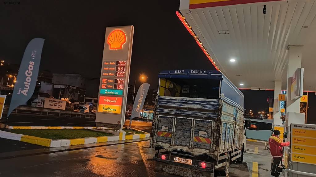 Shell Fotoğrafları