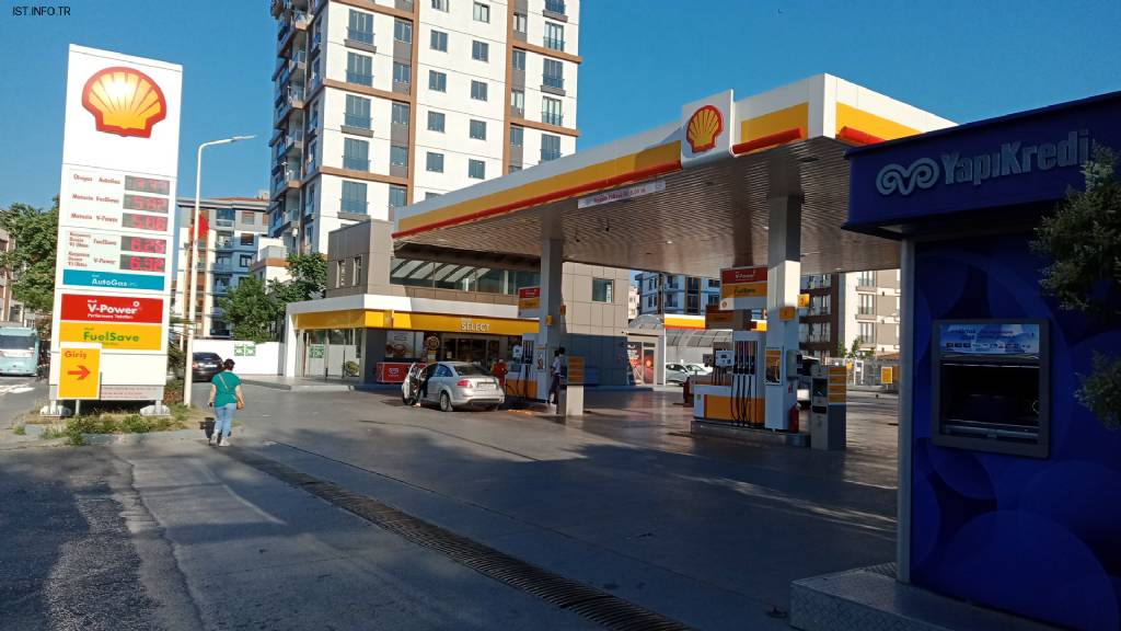 Shell Fotoğrafları