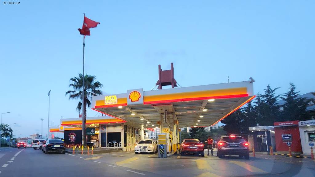 Shell Fotoğrafları