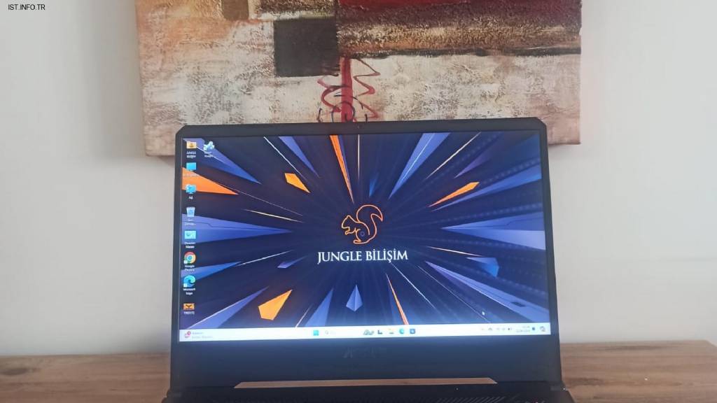 Jungle Bilişim & Teknik Servis Fotoğrafları