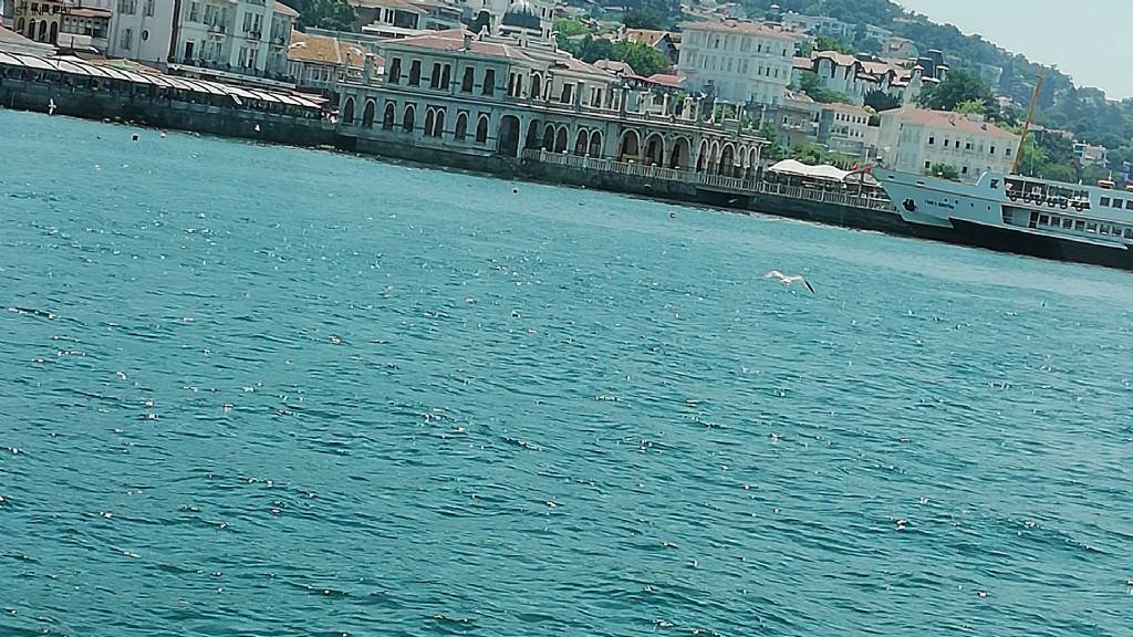 Büyükada Çarşı Camii Fotoğrafları