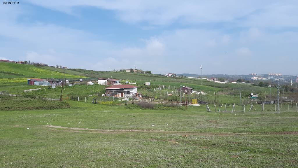 Tayakadın Türk Köşe Sefa Cami Fotoğrafları