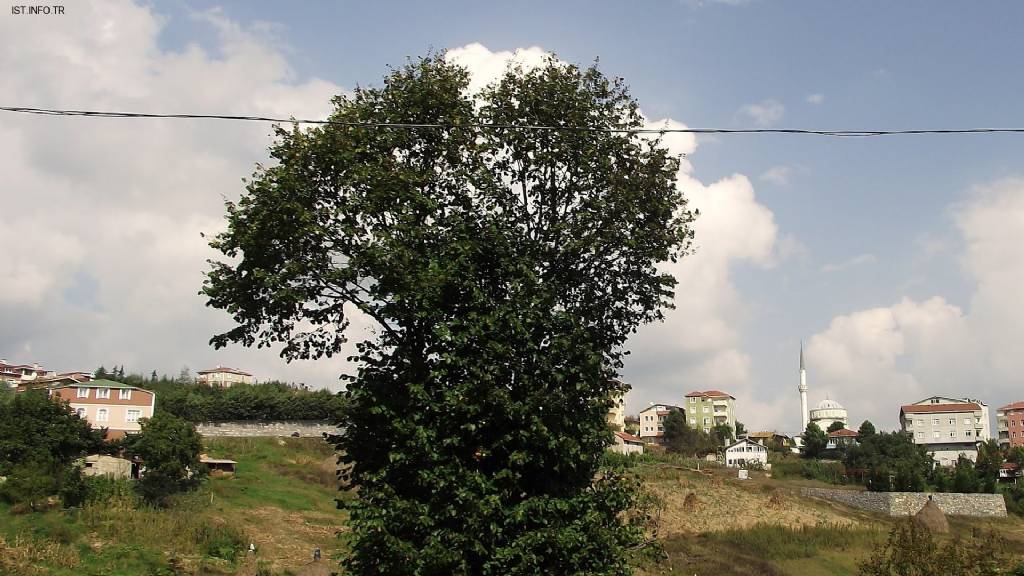 Ahmetler Camii Fotoğrafları