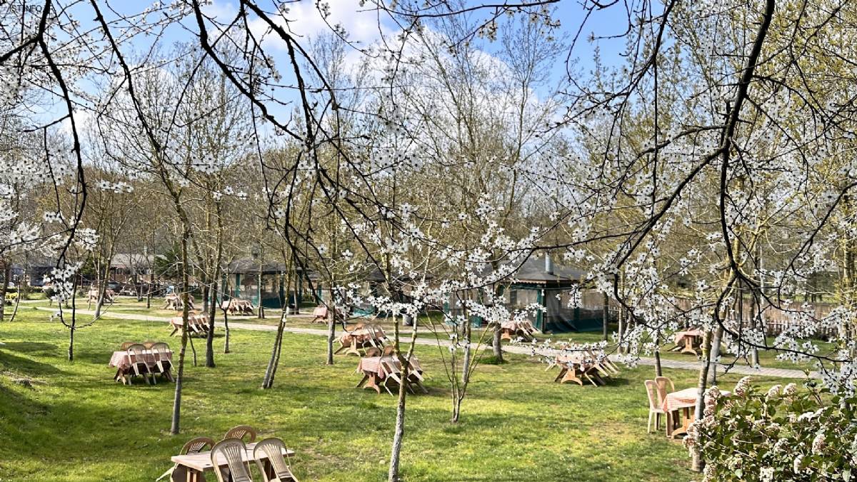 Aşgana Garden